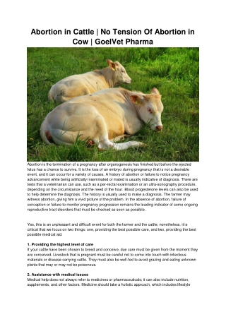 Abortion in Cattle _ No Tension Of Abortion in Cow _ GoelVet Pharma