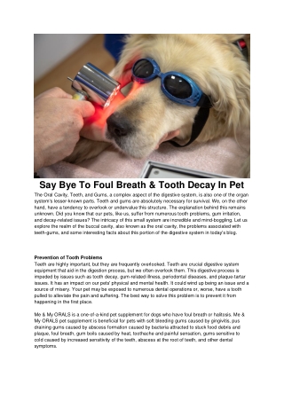 Say Bye To Foul Breath & Tooth Decay In Pet