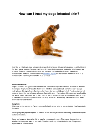 How can I treat my dogs infected skin (1)