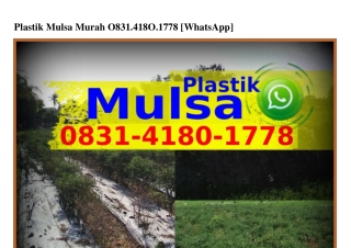 Plastik Mulsa Murah