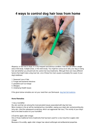 4 ways to control dog hair loss from home (1)