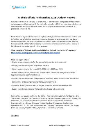 2021 Sulfuric Acid Industry Global Analysis Report