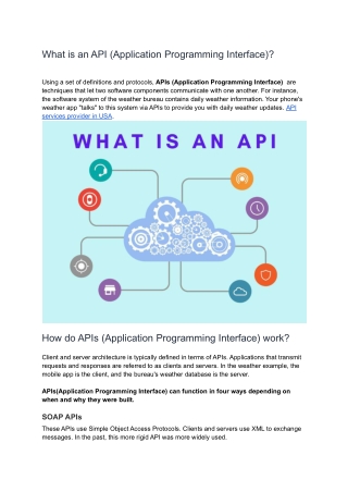 API (Application Programming Interface) services in USA