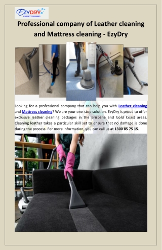 Professional company of Leather cleaning and Mattress cleaning - EzyDry