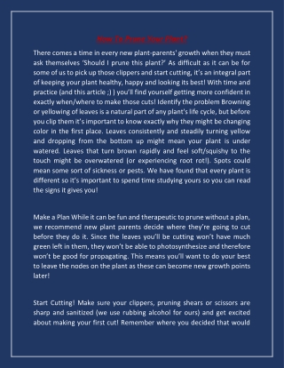 How to prune your plant