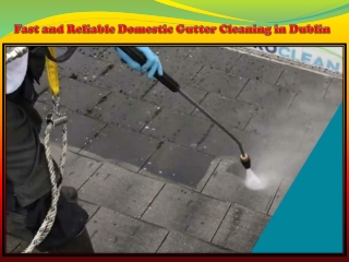 Fast and Reliable Domestic Gutter Cleaning in Dublin