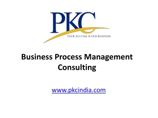 Business Process Management Consulting