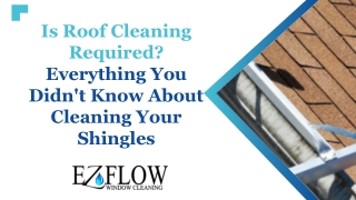 Is Roof Cleaning Required? Everything You Didn't Know About Cleaning Shingles