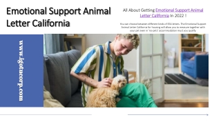 All About Getting Emotional Support Animal Letter California In 2022.