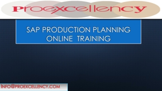sap pp (1)