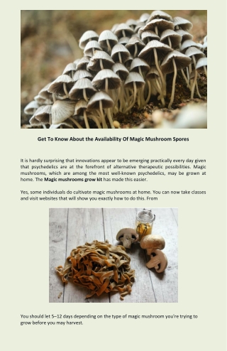 Get To Know About the Availability Of Magic Mushroom Spores