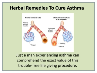 Take Control of Your Asthma and Minimize Its Impact