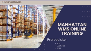 Manhattan WMS