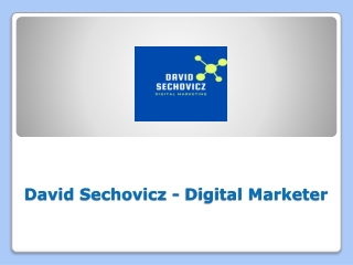 David Sechovicz Digital marketer