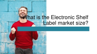 What is the Electronic Shelf Label market size?