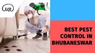 Best pest control in Bhubaneswar