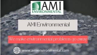 AMI Environmental