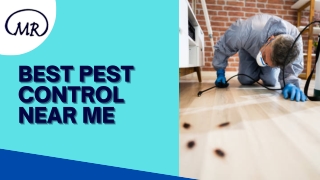 Best pest control near me