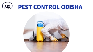 Pest control odisha