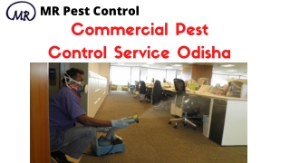 Commercial pest control service Odisha