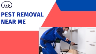Pest removal near me