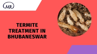 Termite treatment in Bhubaneswar