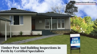 Timber Pest And Building Inspections in Perth by Certified Specialists