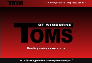 Chimney Specialists New Forest