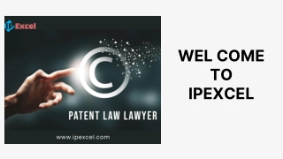 How Can You Choose The Best Patent Law Lawyer?