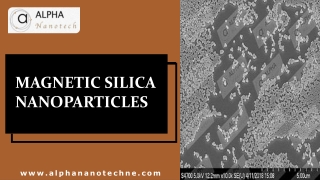 Magnetic Silica Nanoparticles