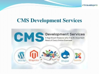 CMS Development Services