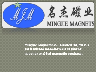 Injection Magnet manufacturers and suppliers in China