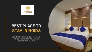 Best Place to Stay in Noida - Golden Tree Hotel