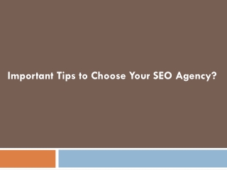 Important Tips to Choose Your SEO Agency