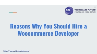 Reasons Why You Should Hire a Woocommerce Developer