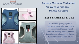 Buy Luxury Harness for Dogs & Puppies Online - Doodle Couture