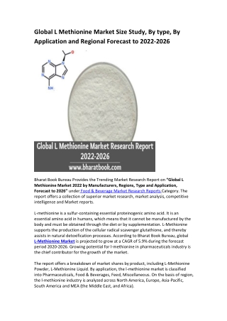 Global L Methionine Market Research Report 2022-2026
