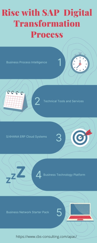 RISE With SAP Versus S/4HANA