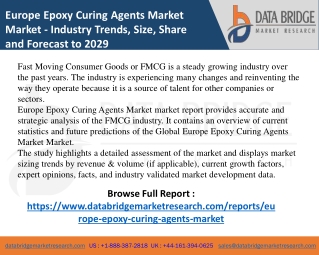 Europe Epoxy Curing Agents Market