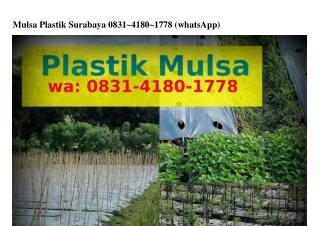 Mulsa Plastik Surabaya ౦831_ㄐ18౦_1778(WA)