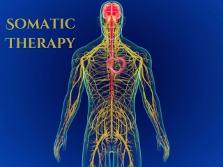 Trauma, PTSD, and Anxiety Treatment Through Somatic Therapy