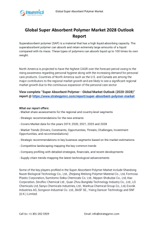 2021 Super Absorbent Polymer Industry Global Analysis Report