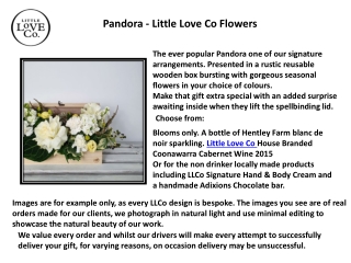 Orchid Plant - LUXE - Little Love Co Flowers
