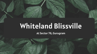 Whiteland Blissville Sector 76 At Gurgaon - Brochure