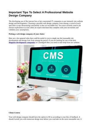 Important Tips To Select A Professional Website Design Company