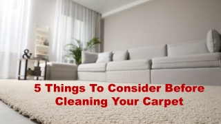 5 Things To Consider Before Cleaning Your Carpet