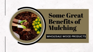 Some Great Benefits of Mulching