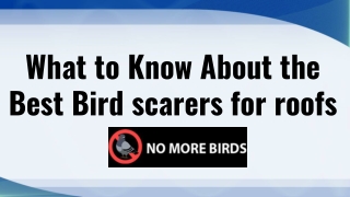 What to Know About the Best Bird Scarers for Roofs