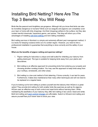 Installing Bird Netting_ Here Are The Top 3 Benefits You Will Reap