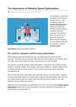 The Importance of Website Speed Optimization
